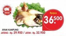 Promo Harga Ayam Kampung  - Superindo