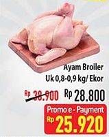 Promo Harga Ayam Broiler 800 gr - Hypermart