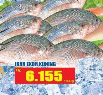 Promo Harga Ikan Ekor Kuning per 100 gr - Hari Hari