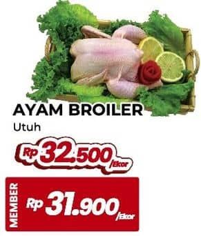 Promo Harga Ayam Broiler 500 gr - Yogya