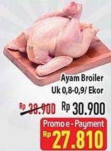 Promo Harga Ayam Broiler 800 gr - Hypermart