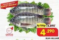 Promo Harga Ikan Mujair per 100 gr - Superindo