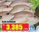 Promo Harga Ikan Kuniran per 100 gr - Hari Hari