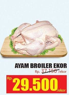 Promo Harga Ayam Broiler  - Hari Hari