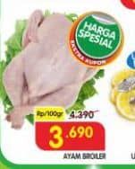 Ayam Broiler