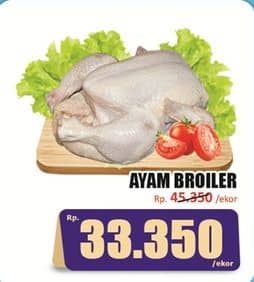 Promo Harga Ayam Broiler 500 gr - Hari Hari