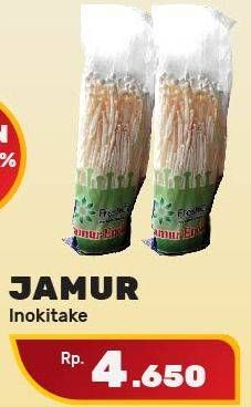 Promo Harga Jamur Inokitake (Jamur Enokitake)  - Yogya