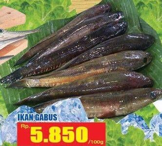 Promo Harga Ikan Gabus per 100 gr - Hari Hari