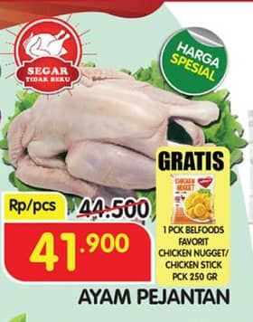 Promo Harga Ayam Pejantan 500 gr - Superindo