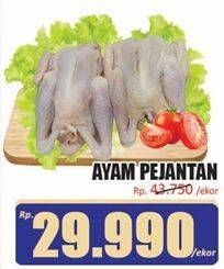 Promo Harga Ayam Pejantan 600 gr - Hari Hari