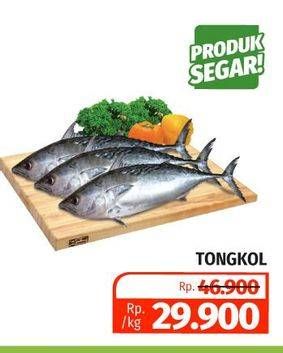 Promo Harga Ikan Tongkol  - Lotte Grosir