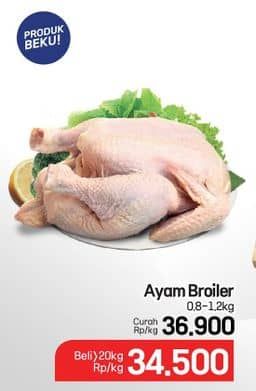 Promo Harga Ayam Broiler  - Lotte Grosir