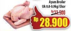 Promo Harga Ayam Broiler 900 gr - Hypermart