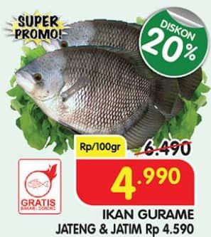 Promo Harga Ikan Gurame per 100 gr - Superindo