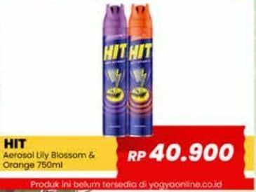 Promo Harga HIT Aerosol Lilly Blossom, Orange 675 ml - Yogya