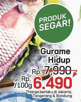 Promo Harga Ikan Gurame Hidup per 100 gr - LotteMart