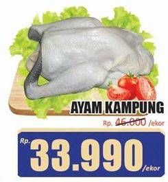 Promo Harga Ayam Kampung 700 gr - Hari Hari