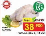 Promo Harga Ayam Kampung  - Superindo