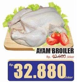 Promo Harga Ayam Broiler 800 gr - Hari Hari