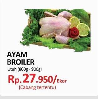 Promo Harga Ayam Broiler  - Yogya