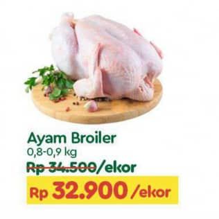 Promo Harga Ayam Broiler 800 gr - TIP TOP
