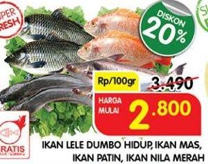 Promo Harga Ikan Lele Dumbo Hidup, Ikan Mas, Ikan Patin, Ikan Nila Merah  - Superindo