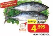 Promo Harga Ikan Tongkol per 100 gr - Superindo