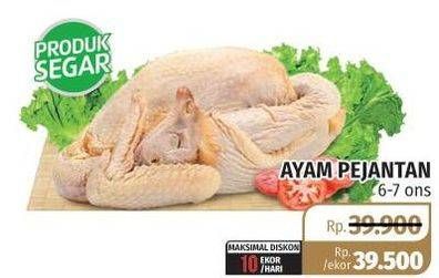 Promo Harga Ayam Pejantan 6-7ons  - Lotte Grosir