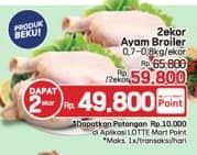 Ayam Broiler