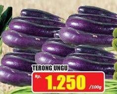 Promo Harga Terong Ungu per 100 gr - Hari Hari