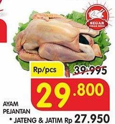 Promo Harga Ayam Pejantan  - Superindo