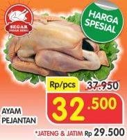 Promo Harga Ayam Pejantan  - Superindo