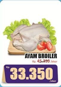 Promo Harga Ayam Broiler 500 gr - Hari Hari