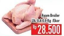 Promo Harga Ayam Broiler 800 gr - Hypermart