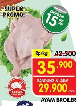 Ayam Broiler