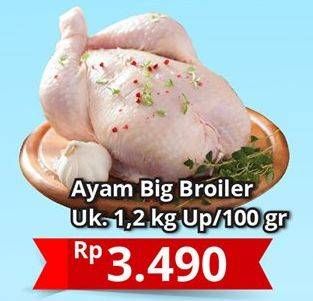 Promo Harga Ayam Broiler per 100 gr - Hypermart