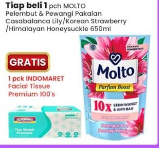 Promo Harga Molto Pewangi Korean Strawberry, Casablanca Lily, Himalayan Honeysuckle 650 ml - Indomaret