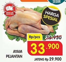 Promo Harga Ayam Pejantan  - Superindo