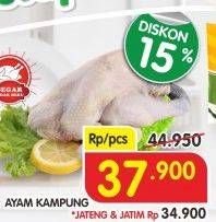 Promo Harga Ayam Kampung  - Superindo