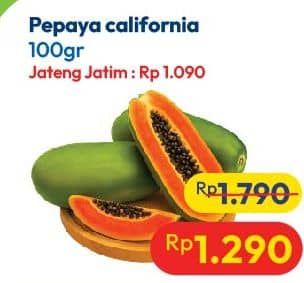 Promo Harga Pepaya Calina per 100 gr - Hypermart