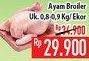 Promo Harga Ayam Broiler  - Hypermart