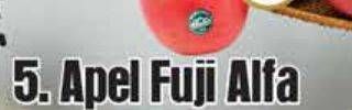 Promo Harga Apel Fuji Alta per 100 gr - Yogya