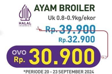 Promo Harga Ayam Broiler 800 gr - Hypermart