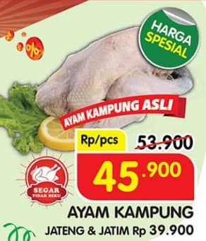 Promo Harga Ayam Kampung 500 gr - Superindo