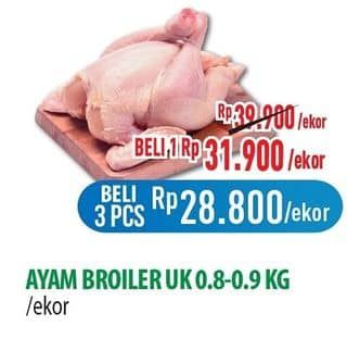 Promo Harga Ayam Broiler 800 gr - Hypermart