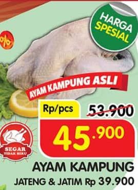 Ayam Kampung