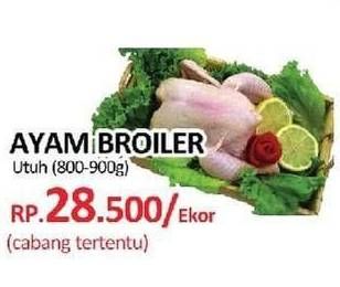 Promo Harga Ayam Broiler  - Yogya