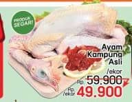 Promo Harga Ayam Kampung 500 gr - LotteMart