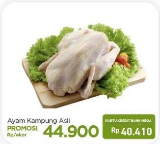 Promo Harga Ayam Kampung  - Carrefour