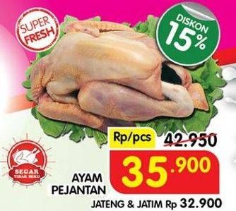 Promo Harga Ayam Pejantan 600 gr - Superindo
